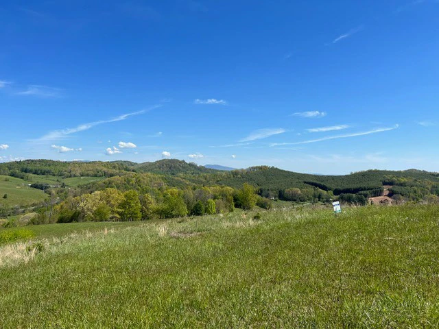 Image number 16 for the current listing