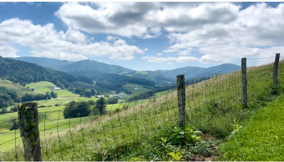 Image number 19 for the current listing