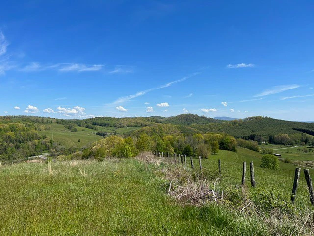 Image number 1 for the current listing