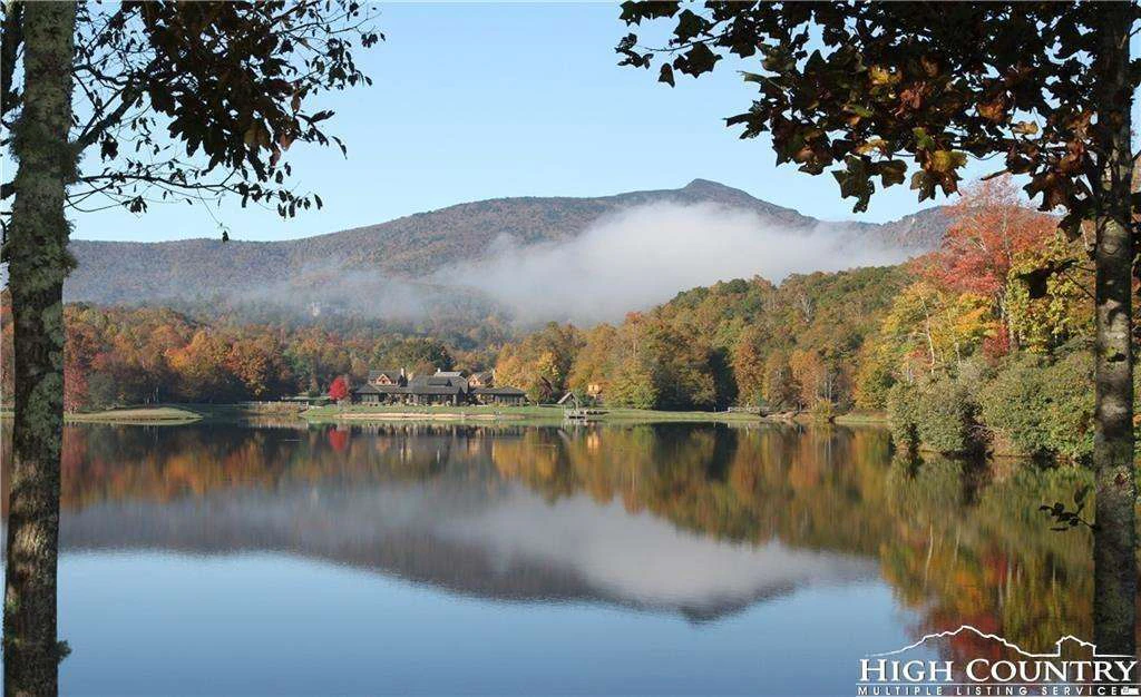 Image number 5 for the current listing