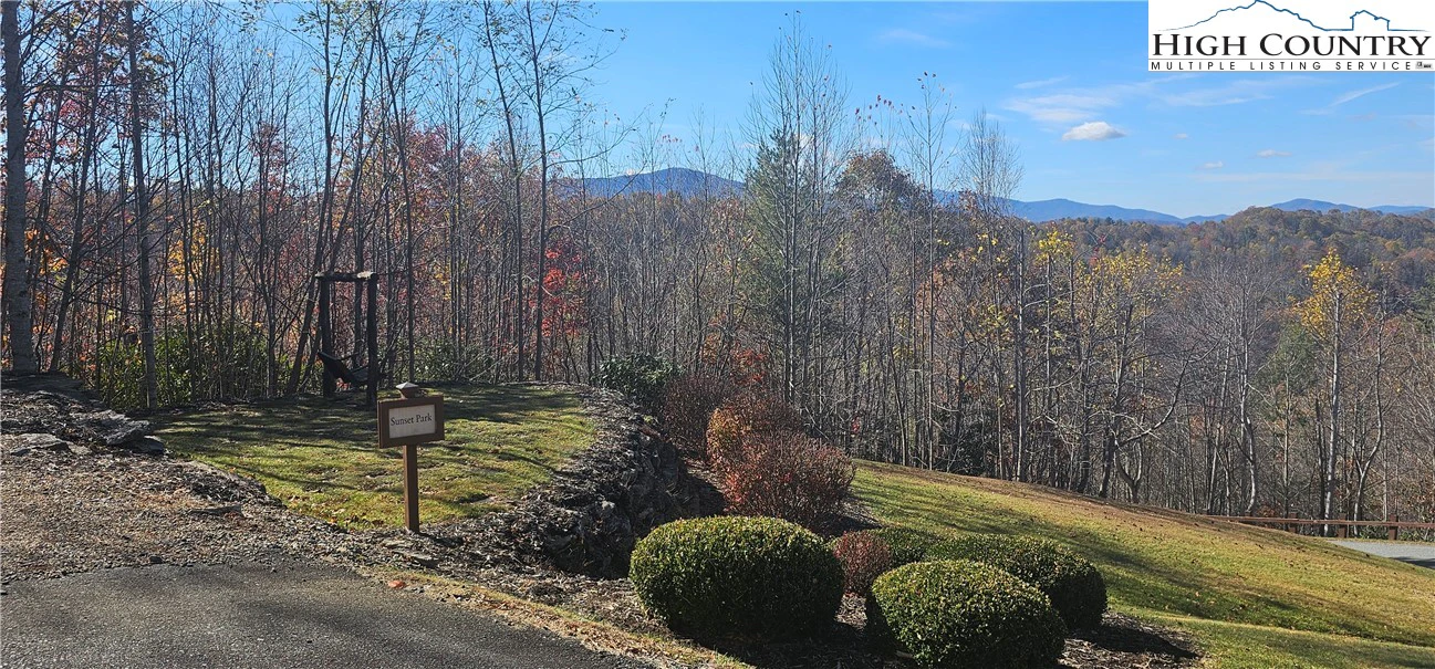 Image number 7 for the current listing