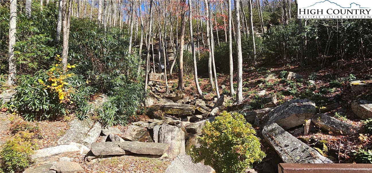 Image number 6 for the current listing
