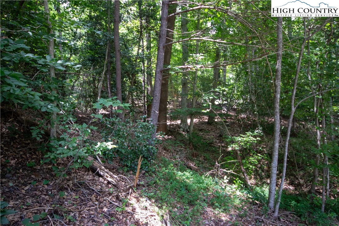 Image number 3 for the current listing