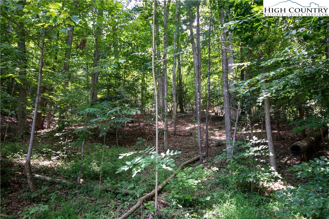 Image number 4 for the current listing