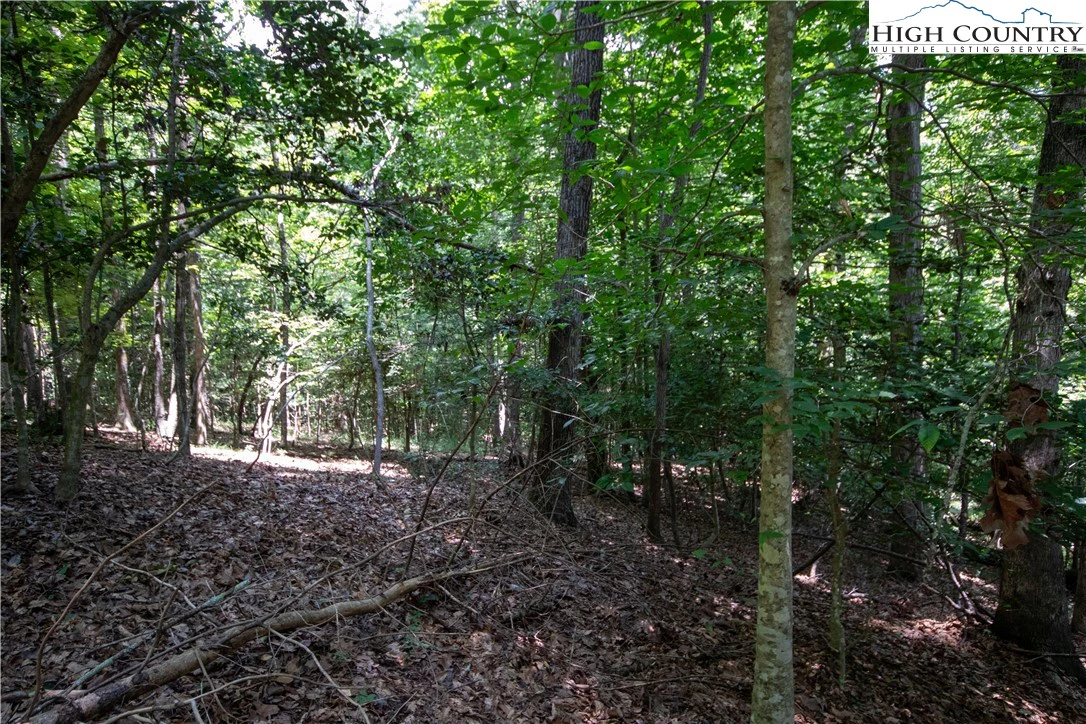 Image number 5 for the current listing