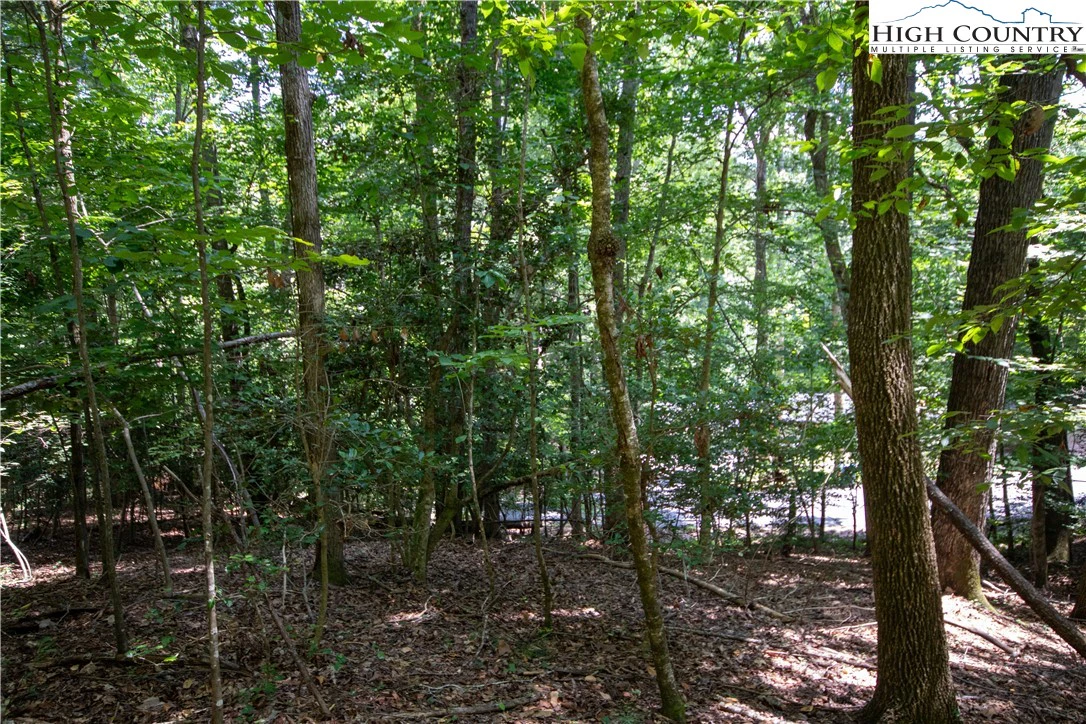 Image number 7 for the current listing