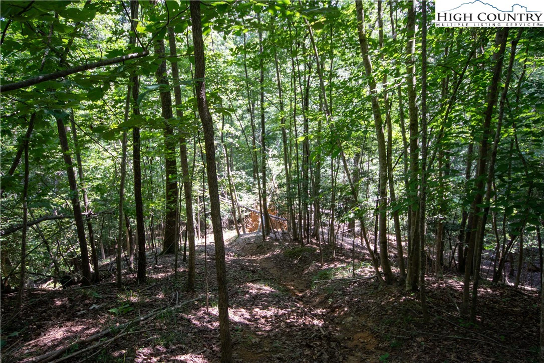 Image number 11 for the current listing