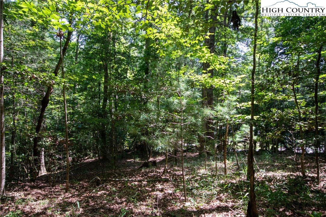 Image number 12 for the current listing