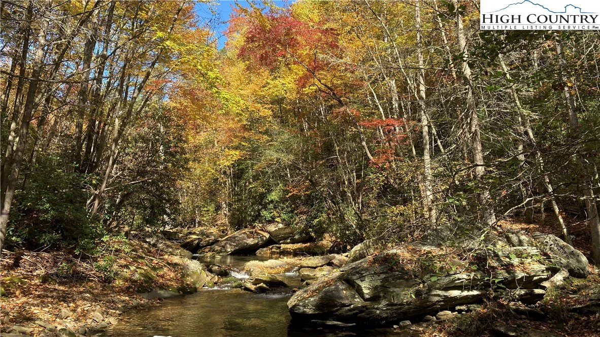 Image number 1 for the current listing