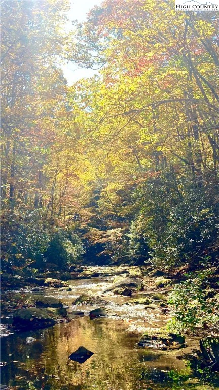 Image number 13 for the current listing