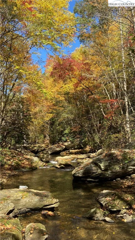 Image number 12 for the current listing