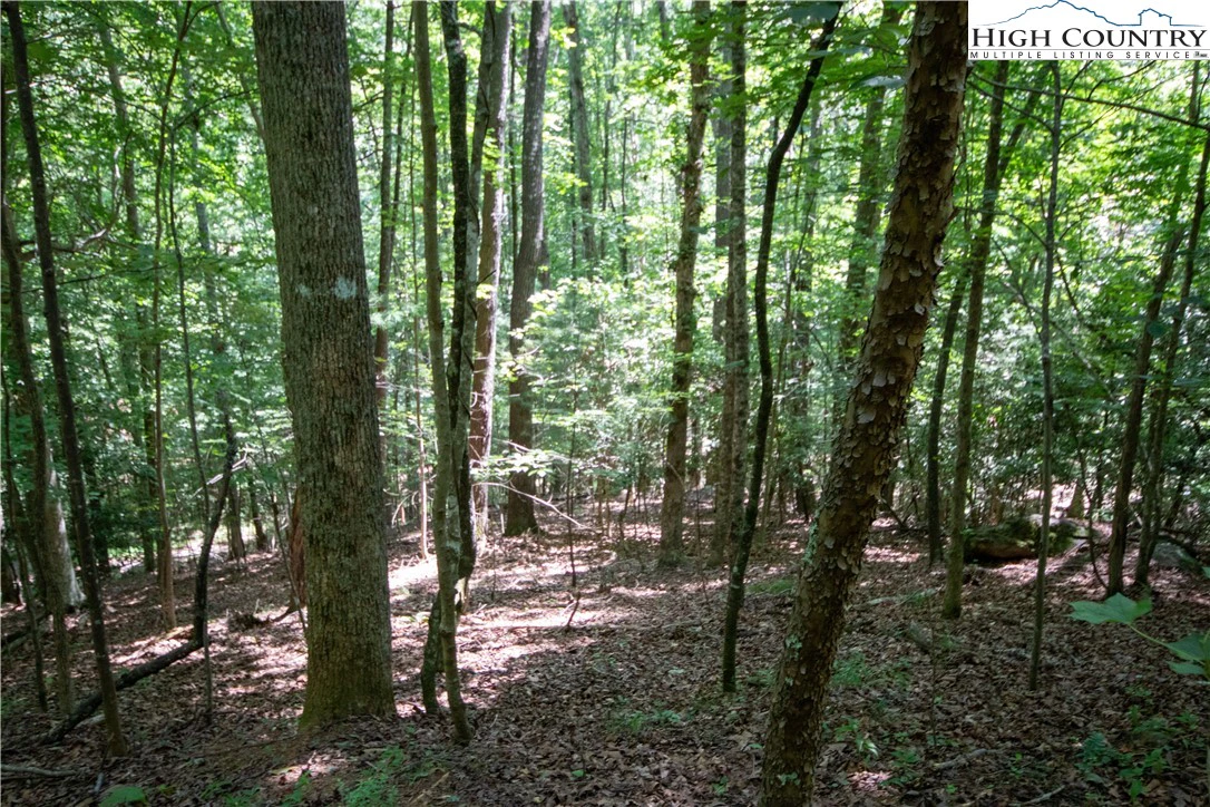 Image number 9 for the current listing