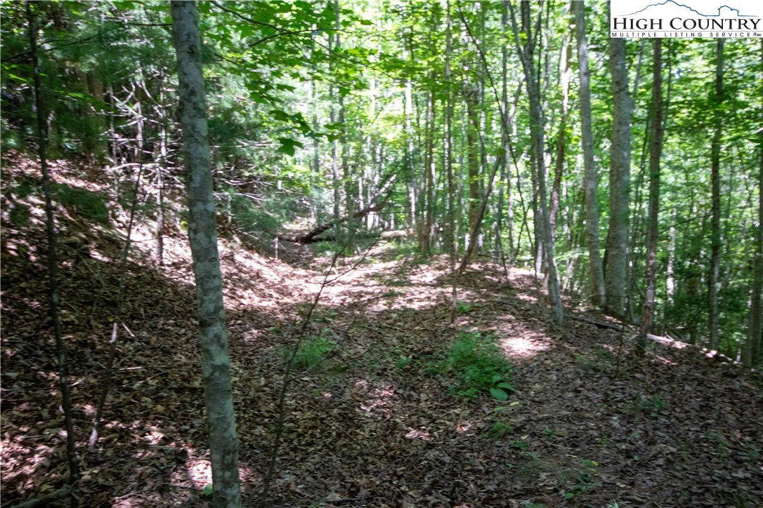 Image number 8 for the current listing