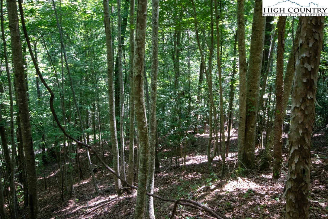 Image number 6 for the current listing