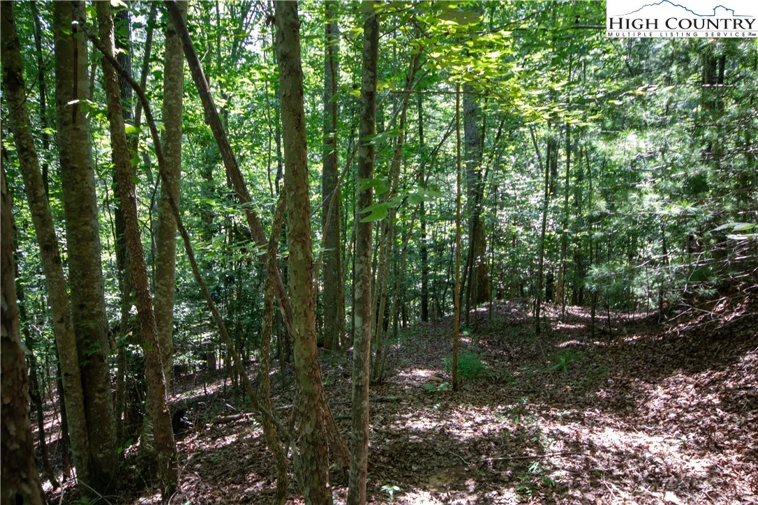 Image number 5 for the current listing