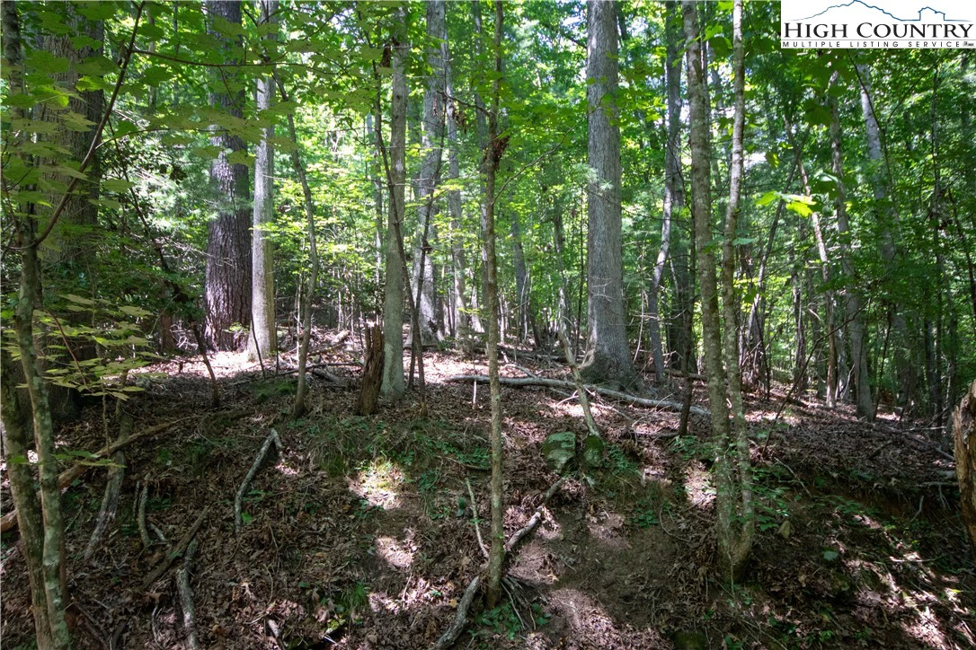 Image number 21 for the current listing