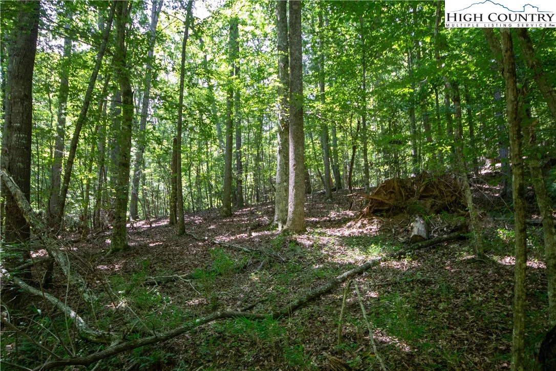Image number 18 for the current listing