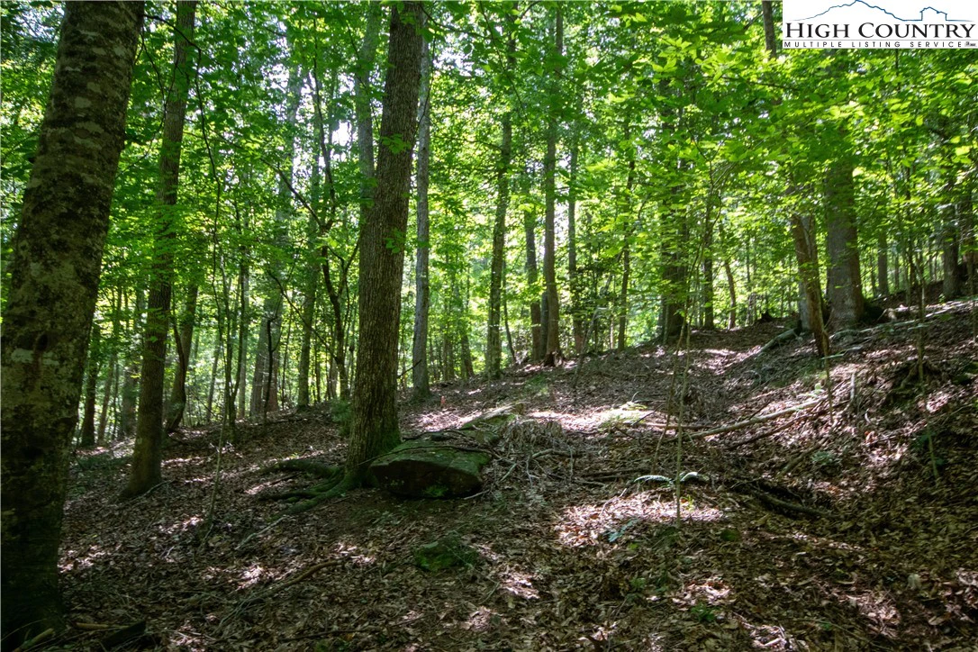 Image number 2 for the current listing