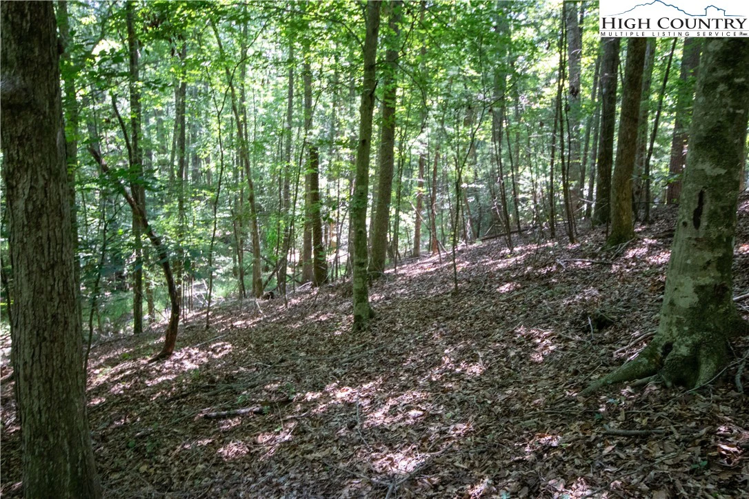 Image number 12 for the current listing