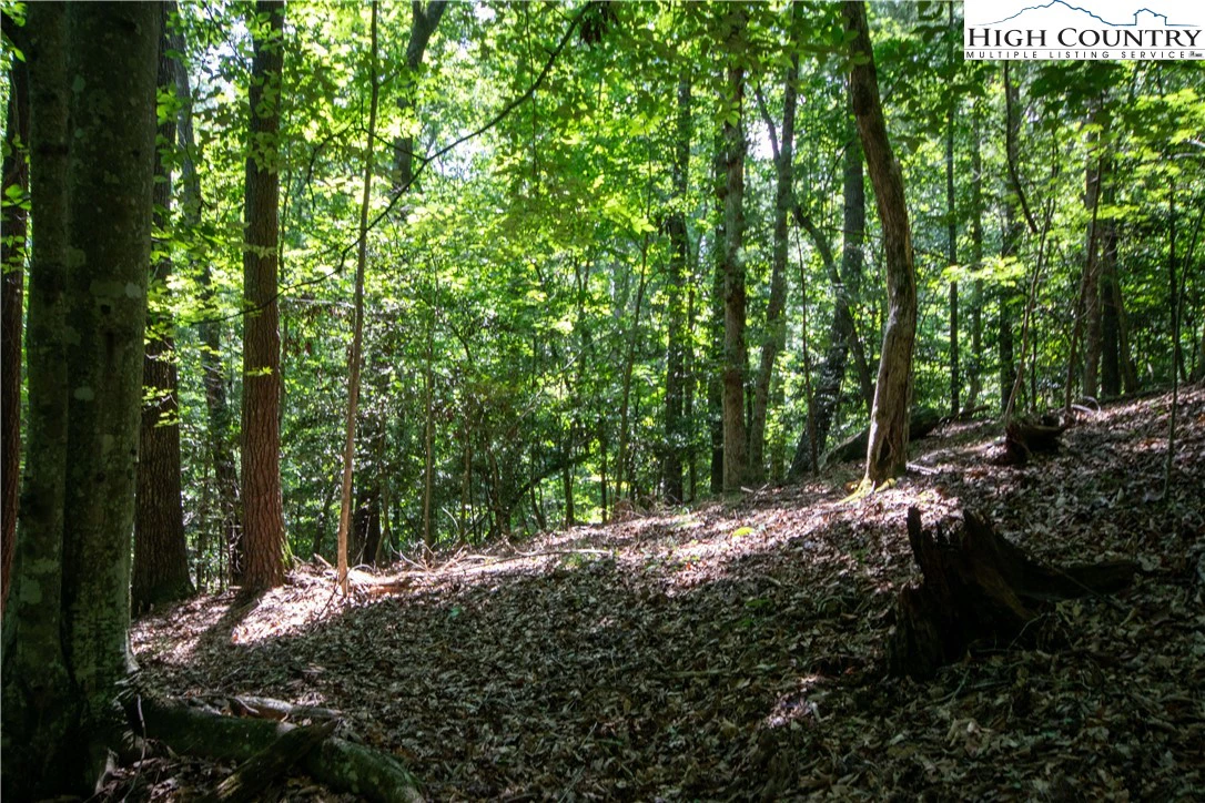 Image number 11 for the current listing