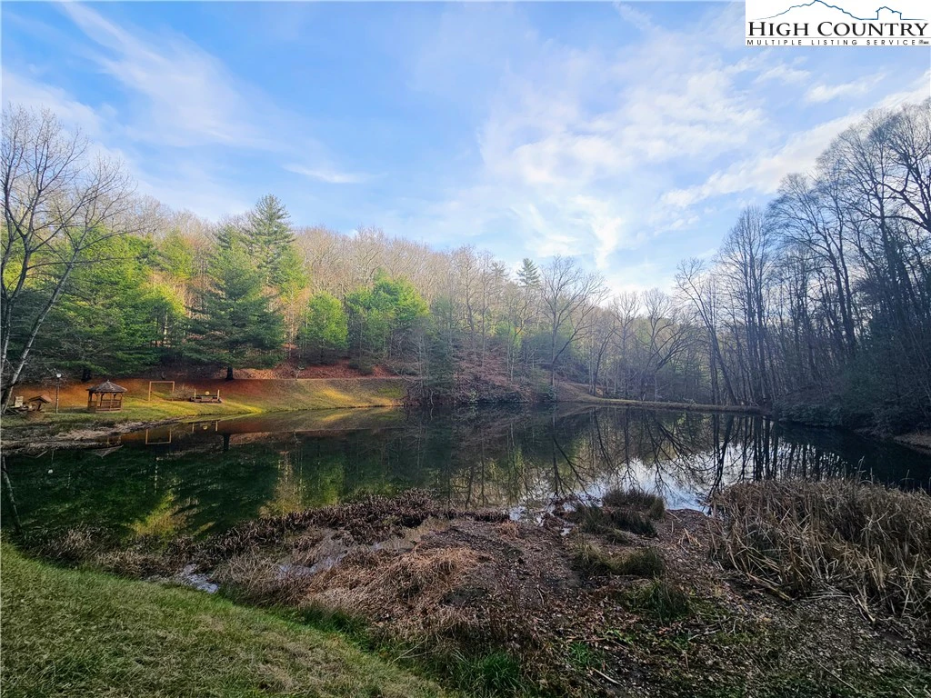 Image number 4 for the current listing