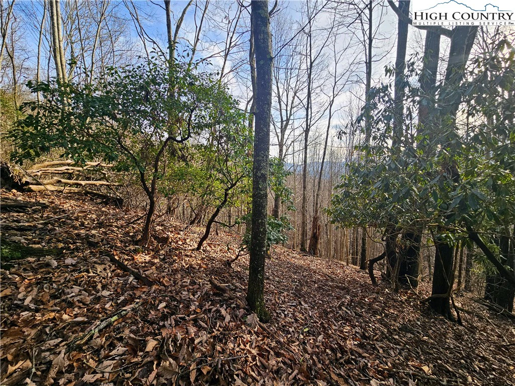 Image number 1 for the current listing