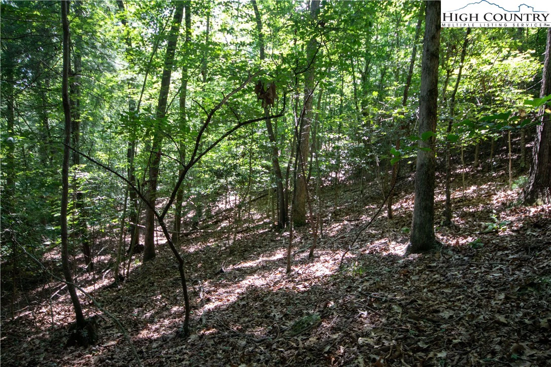 Image number 7 for the current listing