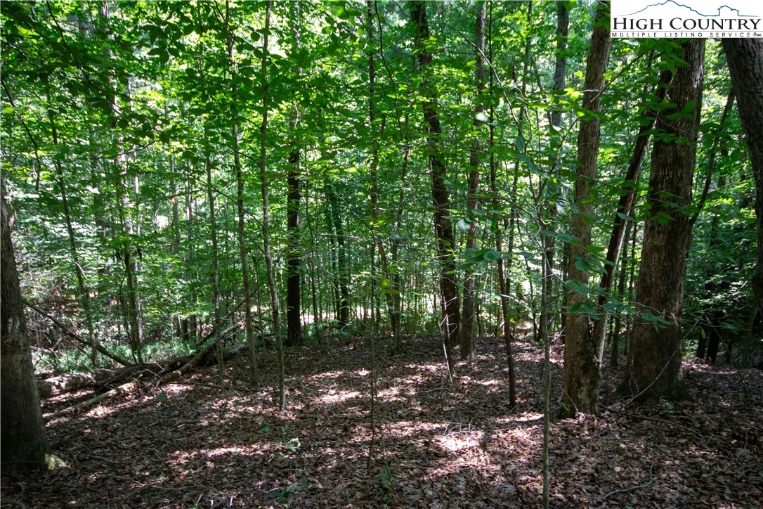 Image number 6 for the current listing