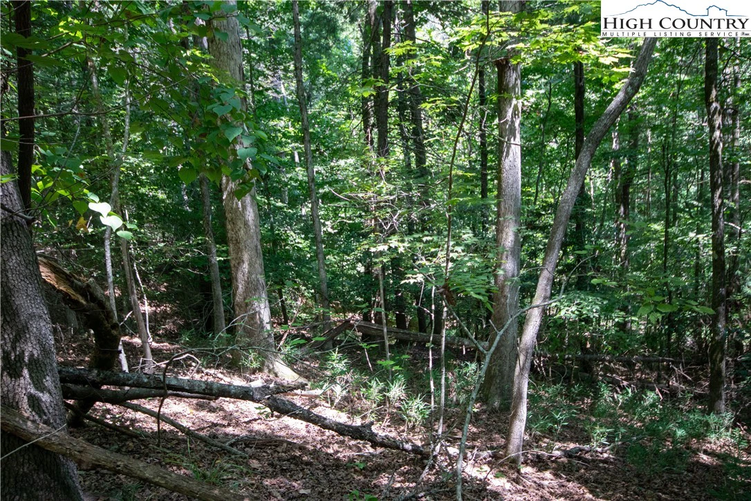 Image number 19 for the current listing