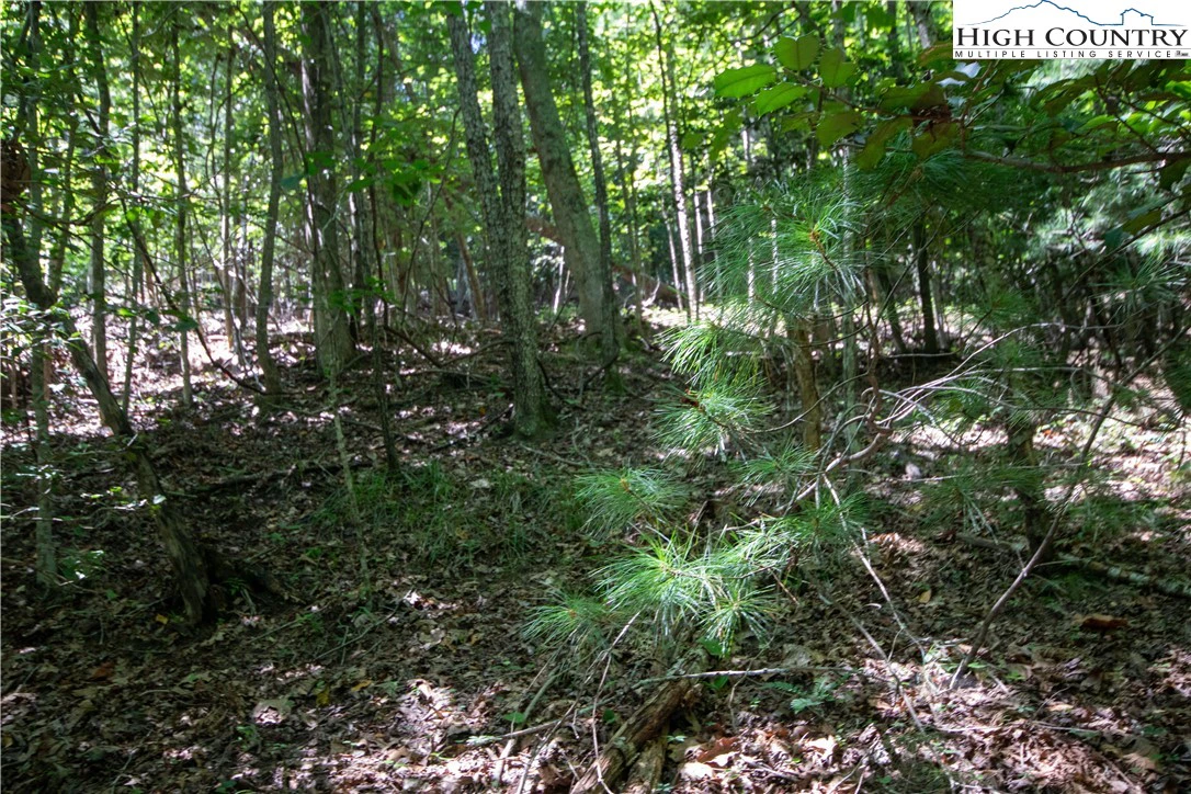 Image number 18 for the current listing