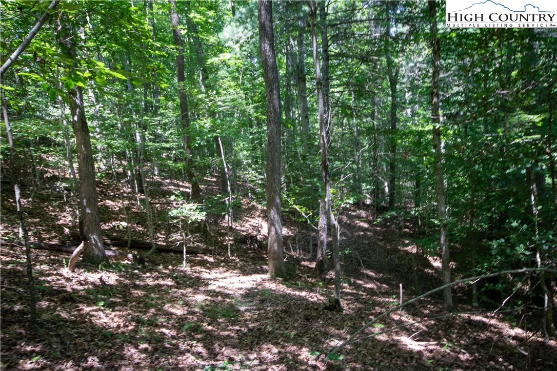 Image number 16 for the current listing