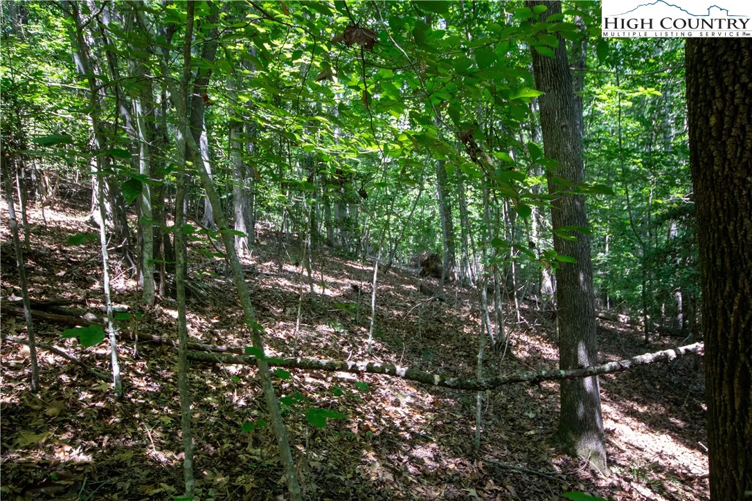 Image number 11 for the current listing