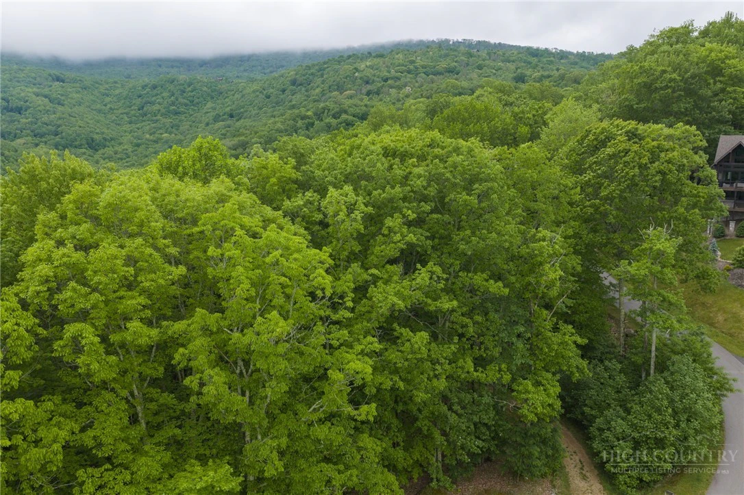Image number 1 for the current listing