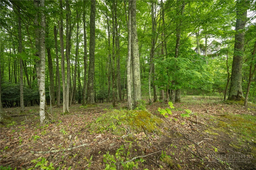 Image number 2 for the current listing