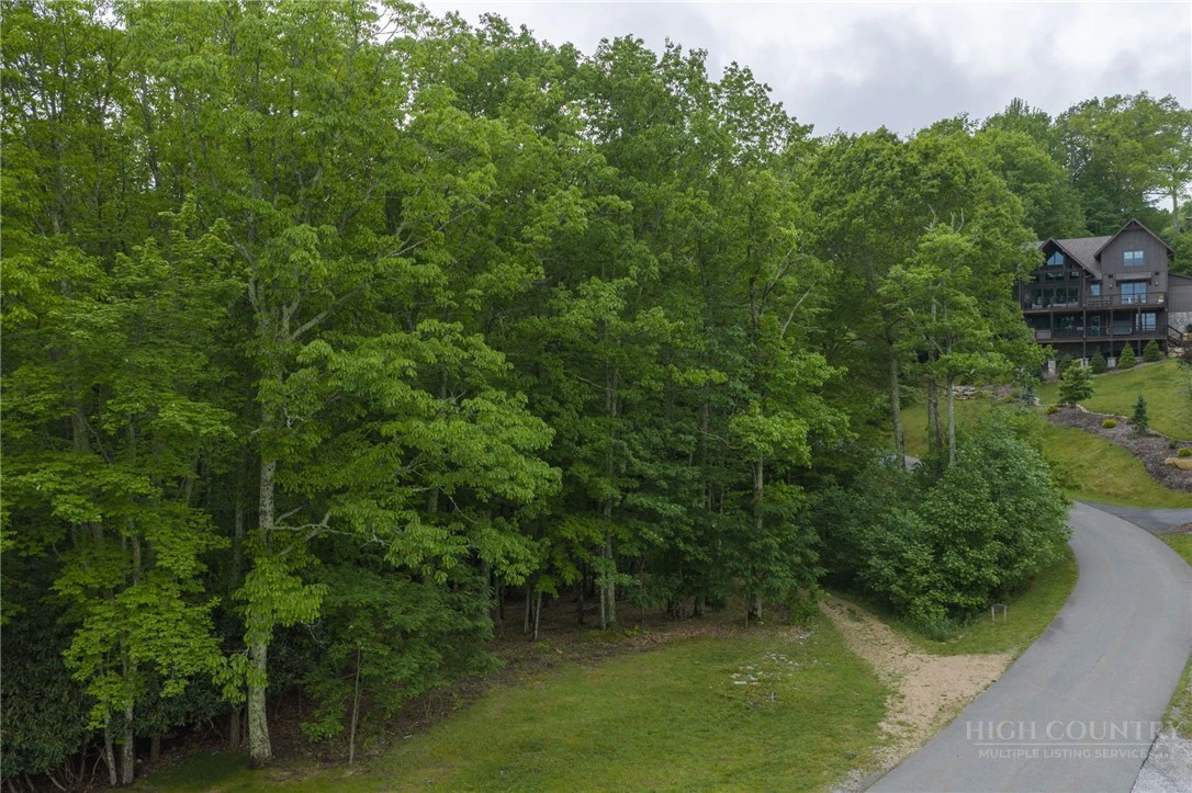 Image number 3 for the current listing