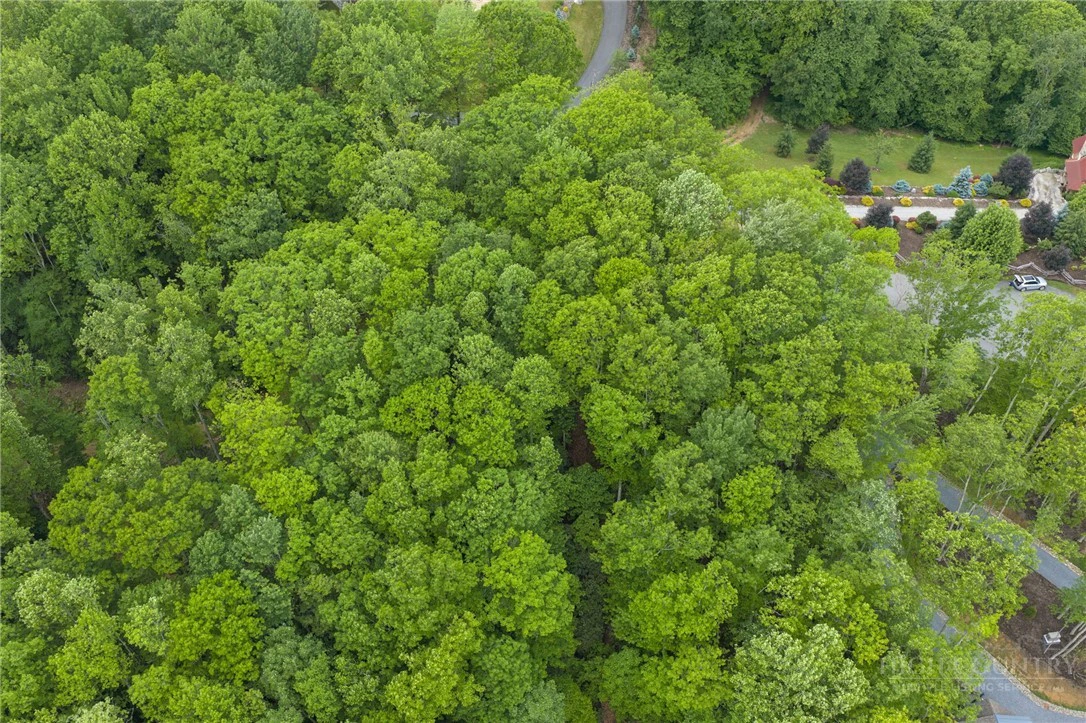 Image number 6 for the current listing