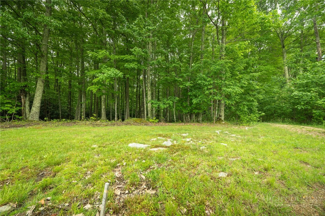 Image number 9 for the current listing