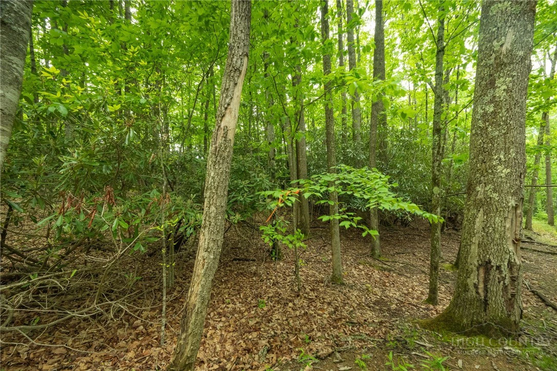 Image number 10 for the current listing