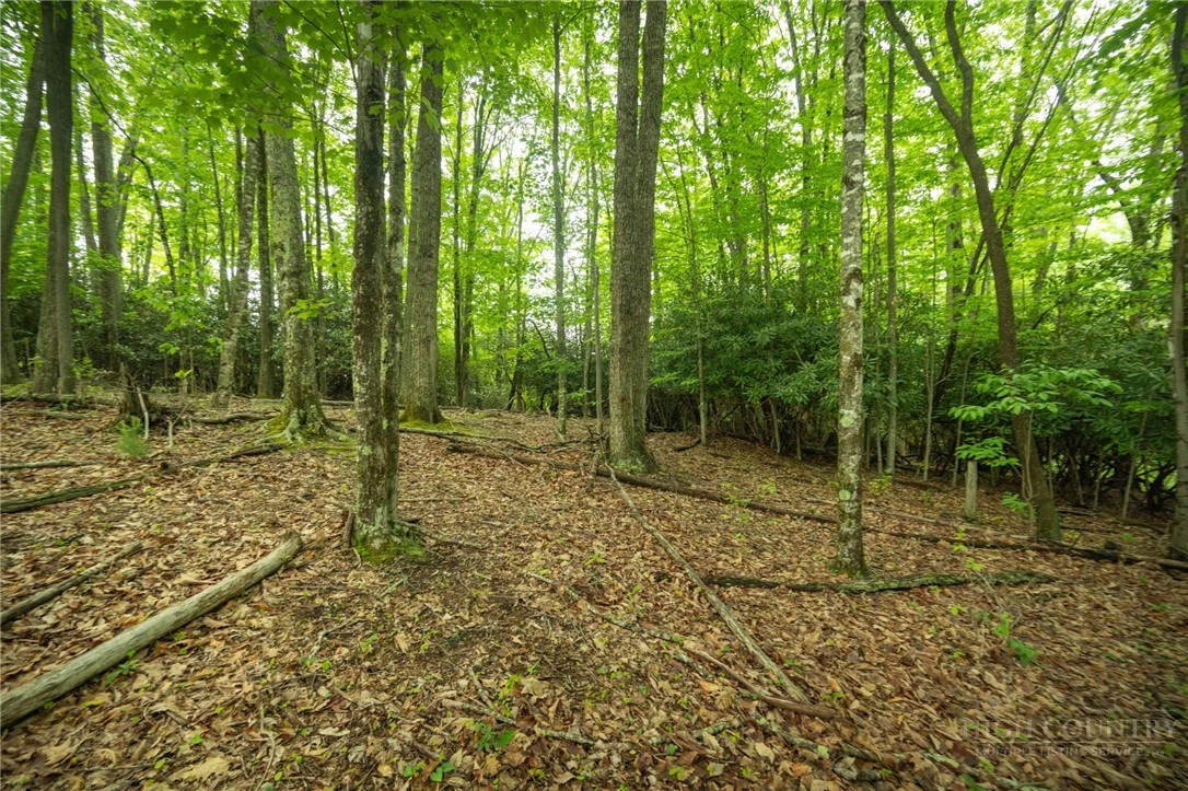 Image number 11 for the current listing