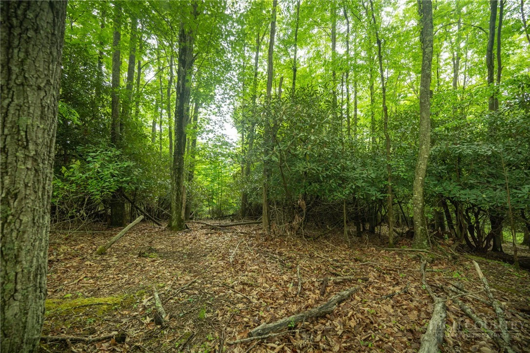 Image number 12 for the current listing