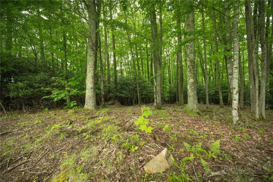 Image number 15 for the current listing