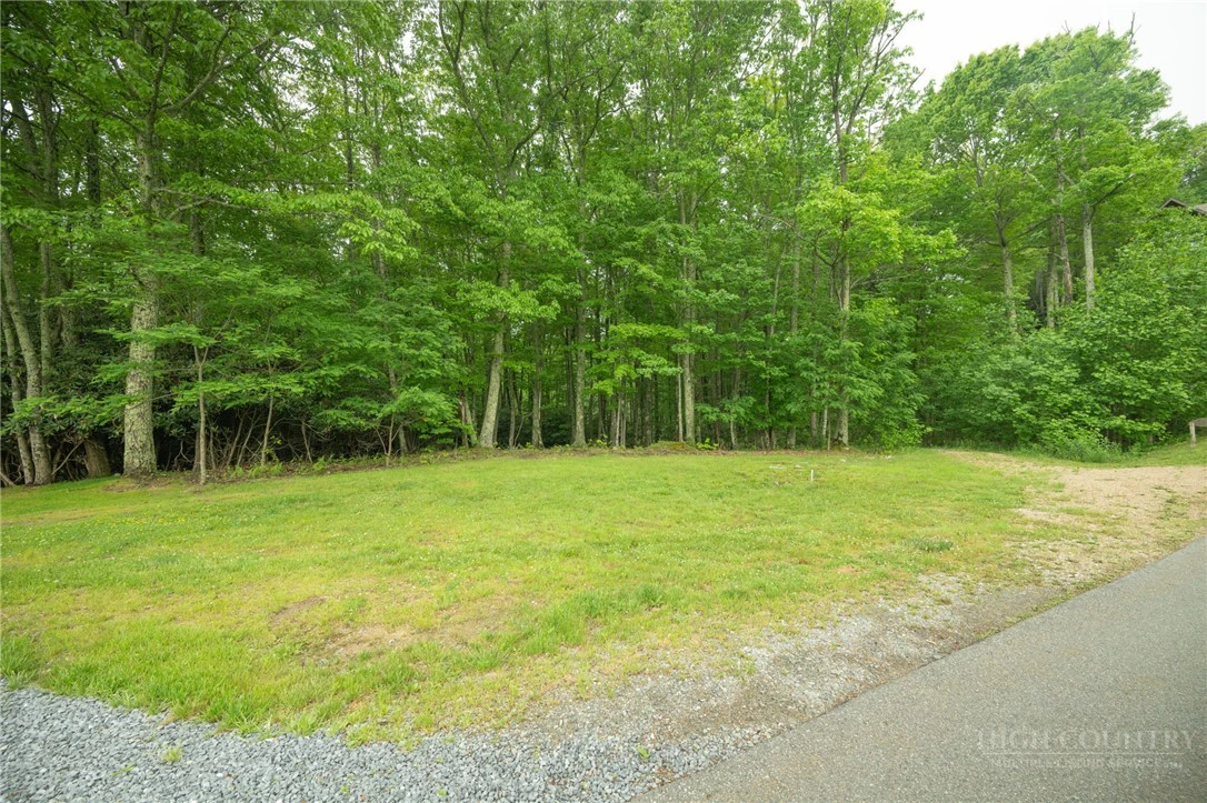 Image number 16 for the current listing