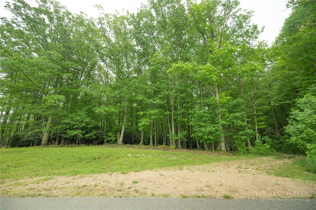 Image number 17 for the current listing