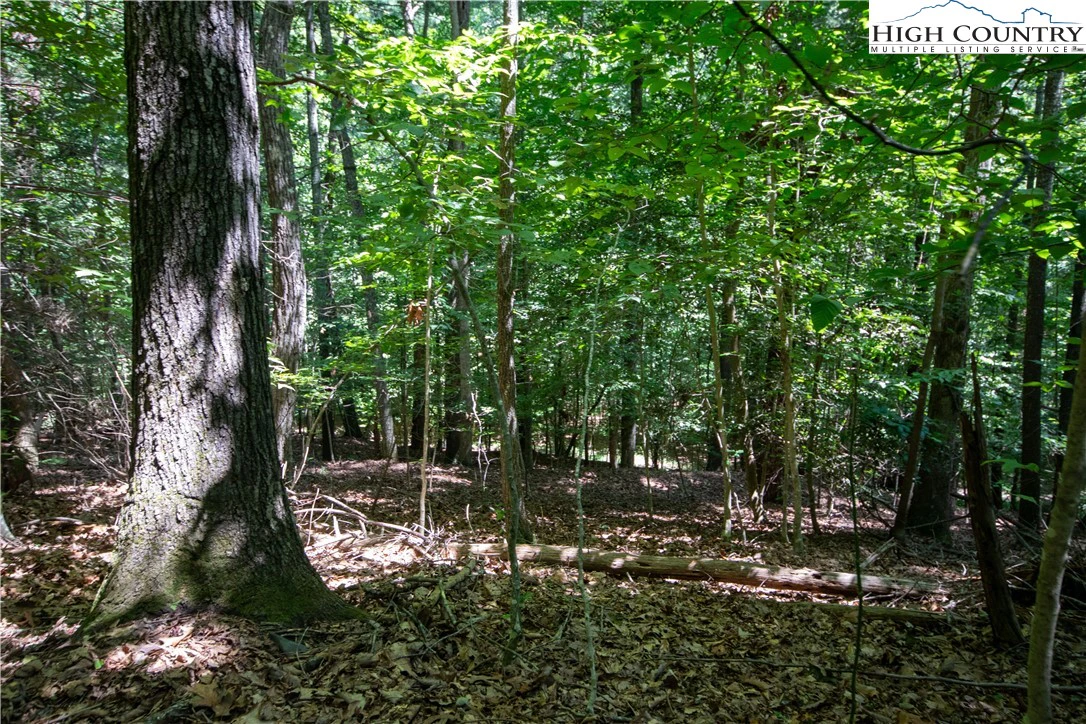 Image number 20 for the current listing