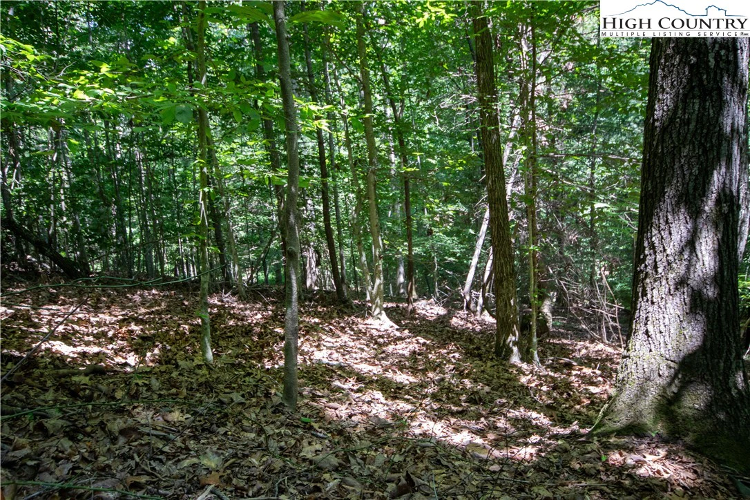 Image number 19 for the current listing