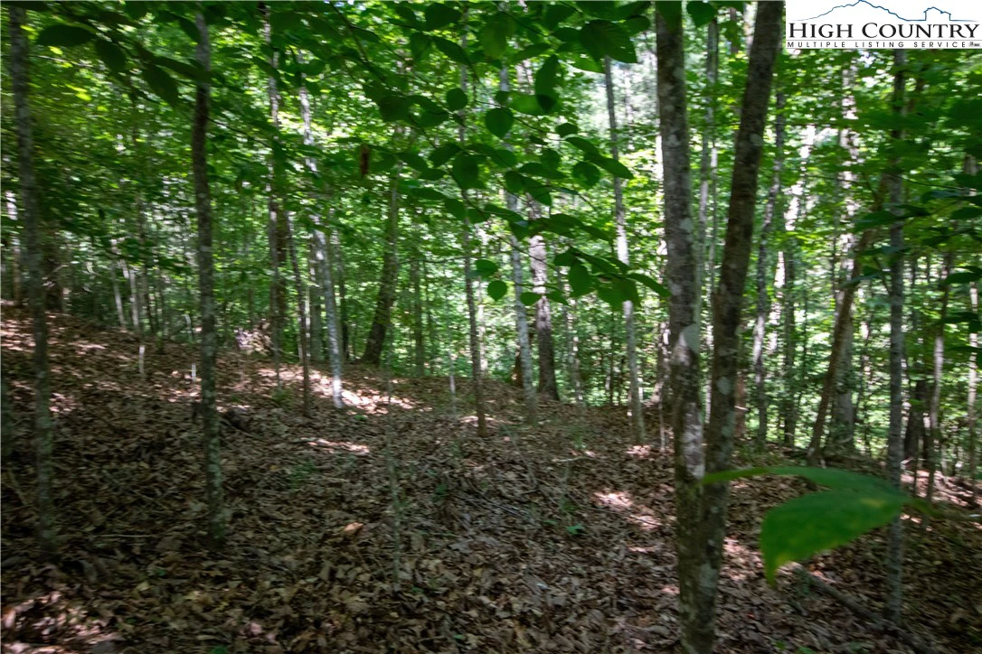 Image number 13 for the current listing