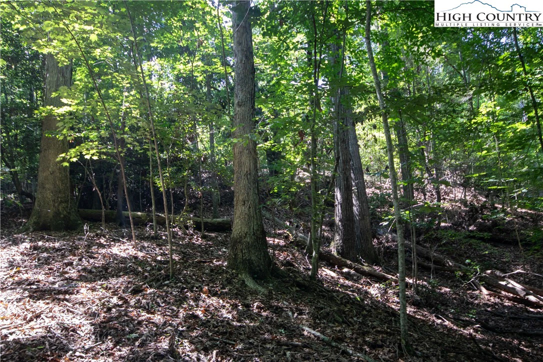Image number 6 for the current listing