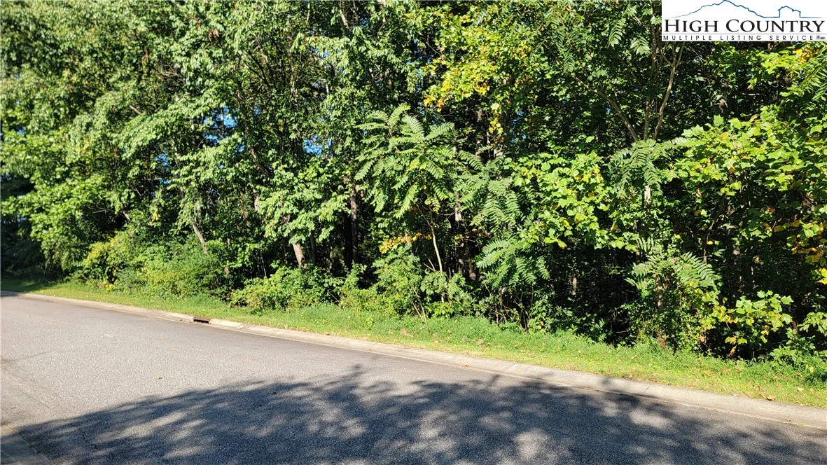 Image number 1 for the current listing