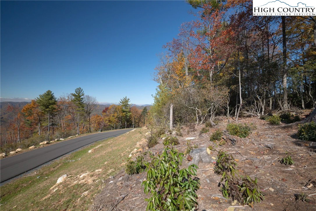 Image number 3 for the current listing