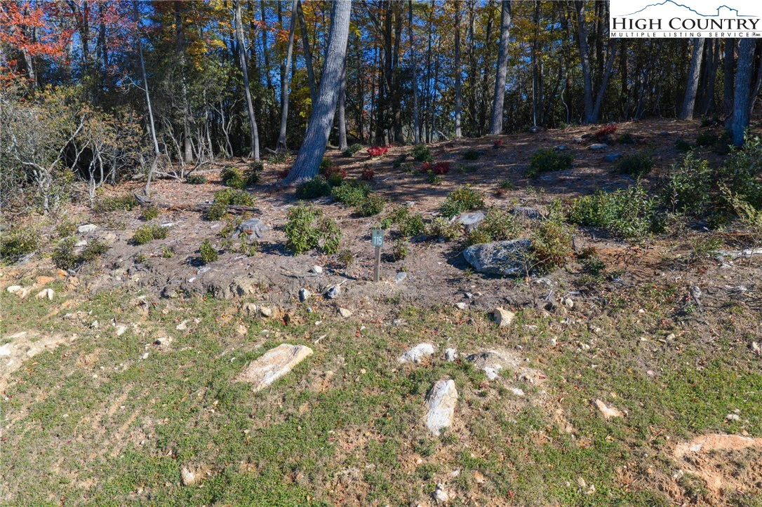 Image number 4 for the current listing